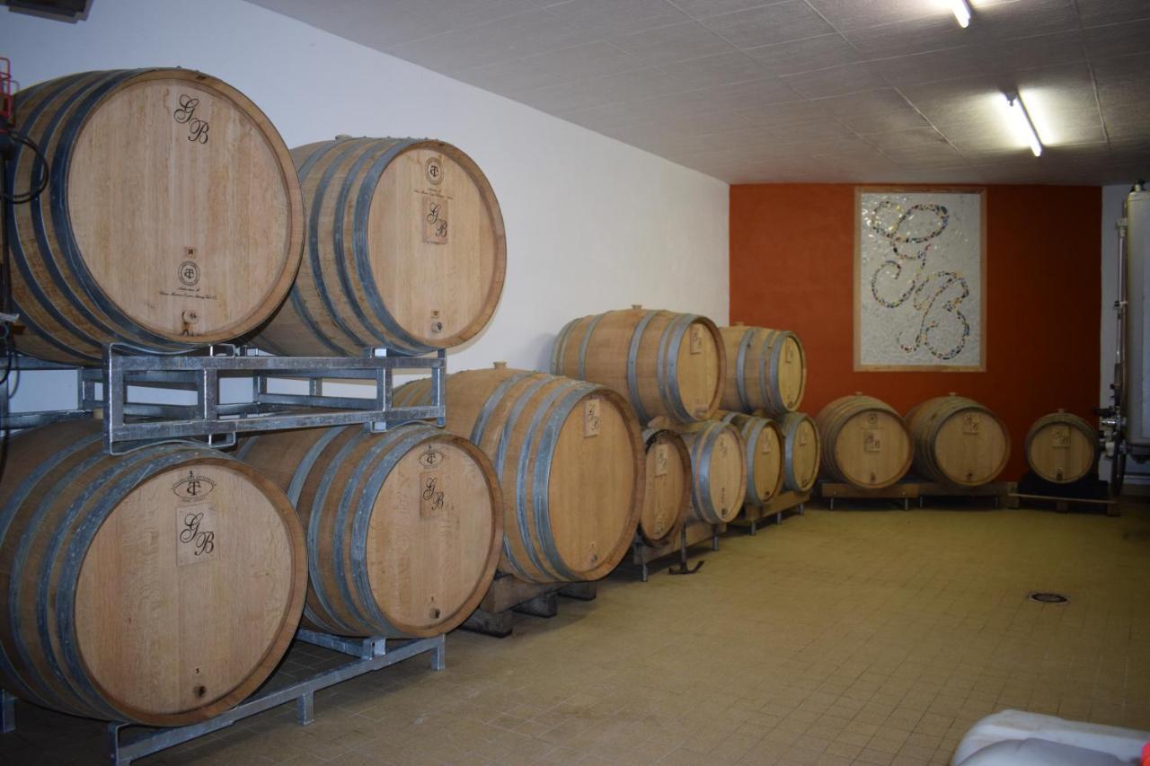 Gite« le Pressoir » Chez Viticulteur En Biodynamie Ferienhaus Avenay-Val-d'Or
